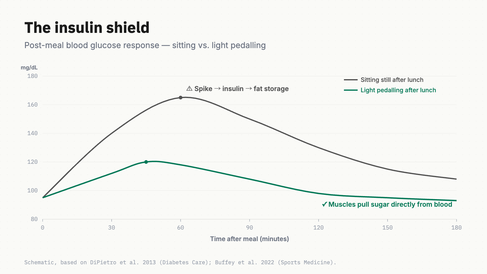 Line chart comparing blood-glucose response after a meal. Sitting still produces a sharp peak around 60 minutes that then crashes; light pedalling produces a gentle, lower peak that returns to baseline smoothly.